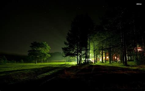Image Forest At Night Wallpaper Related Keywords And Suggestions