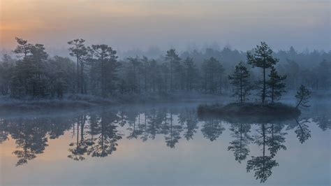 Lake With Reflection Of Trees During Foggy Morning Hd Nature Wallpapers