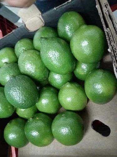 Lemon Export Quality At Rs 340tonne Lemon In Bhiwandi Id 15555732548