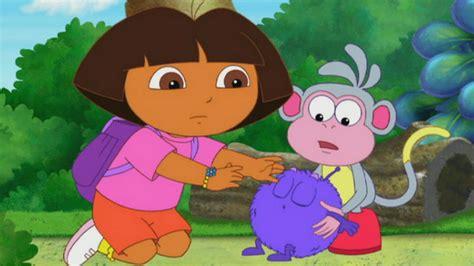 Watch Dora The Explorer Season 6 Episode 4 Baby Winky Comes Home