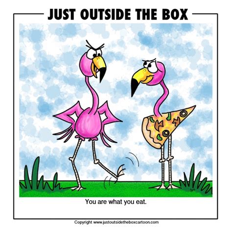 Bird Archives Just Outside The Box Cartoon
