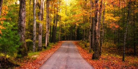 The fall mark e smith i can hear the grass grow, released 15 january 2015 1. Fall in the Smoky Mountains | Matthew Paulson Photography