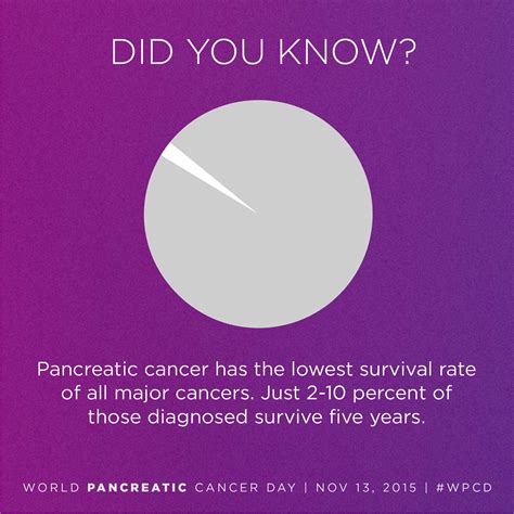 Feb 12, 2021 · a relative survival rate compares people with the same type and stage of pancreatic cancer to people in the overall population. Second World Pancreatic Cancer Day to Elevate ...