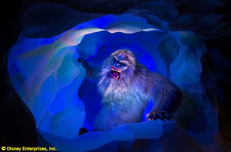 So, the matterhorn has quite the impressive resumé for a disney attraction. Disney News and Interviews From The Mouse Castle: The ...
