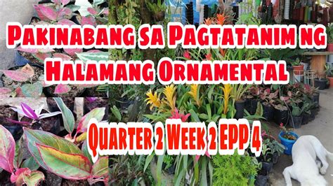 Quarter 2 Week 2 Epp 4 Pakinabang Sa Pagtatanim Ng Halamang Ornamental