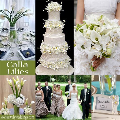 Your Wedding Theme Calla Lilies Sunflowers Or Daisies Exclusively