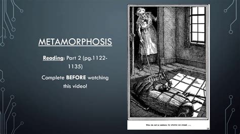 Video 31 Metamorphosis Part 2 Youtube