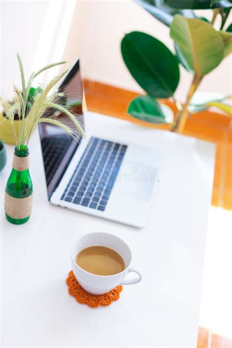 Freelancer Workplace Laptop Coffee Cup And Potted Plant On White