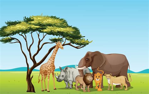 Grassland Clipart 20 Free Cliparts Download Images On Clipground 2023