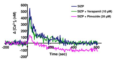 Sizp Mediated Intracellular Calcium Release Profile In Capacitated