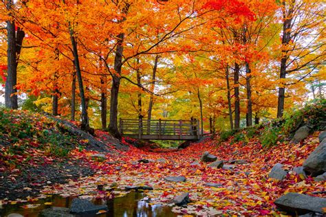 first day of fall fun facts about the fall equinox reader s digest