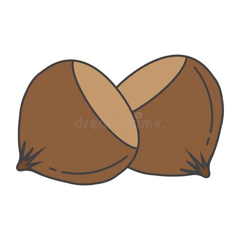 Two Color Hazelnut Vector Icon From Fruits And Vegetables Concept
