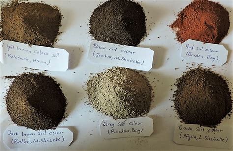 A black, ingrained dust such as soot. Soil Test - Assisting farmers make an informed decision ...