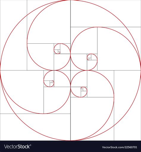 Fibonacci Spiral Golden Ratio Royalty Free Vector Image