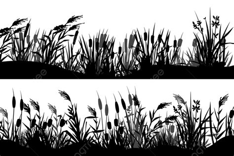 Reed Silhouette Cattail Grass Marsh Environment Element Water Png