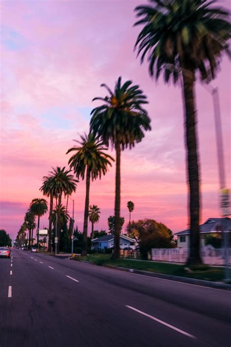 Los Angeles Sunset Pictures Palm Trees Wallpaper Scenery Wallpaper