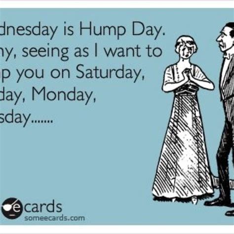Hump Day Hump Day Funny Pictures Funny Quotes