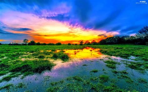 Clouds Meadow Trees Viewes Great Sunsets Swamp Nice Wallpapers