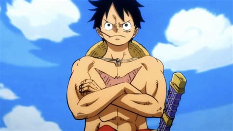 One Piece How Old Is Luffy Otakukart Personnages Danimés Mec