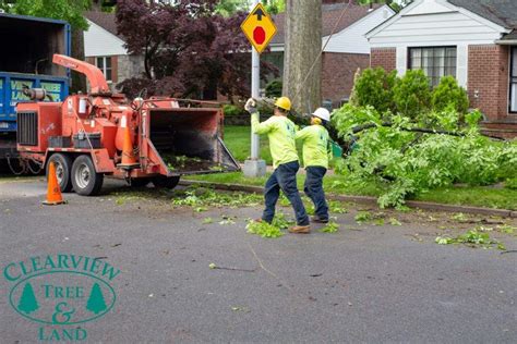 Long Island Ny Tree Services Clearview Tree And Land Corp