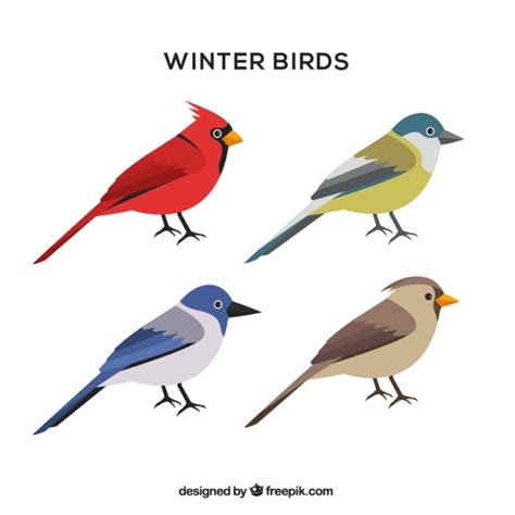 Free Vector Assortment Of Winter Birds In Flat Design