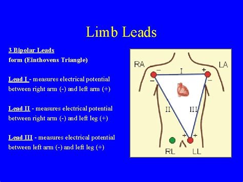 An Introduction To The 12 Lead Ecg Dr
