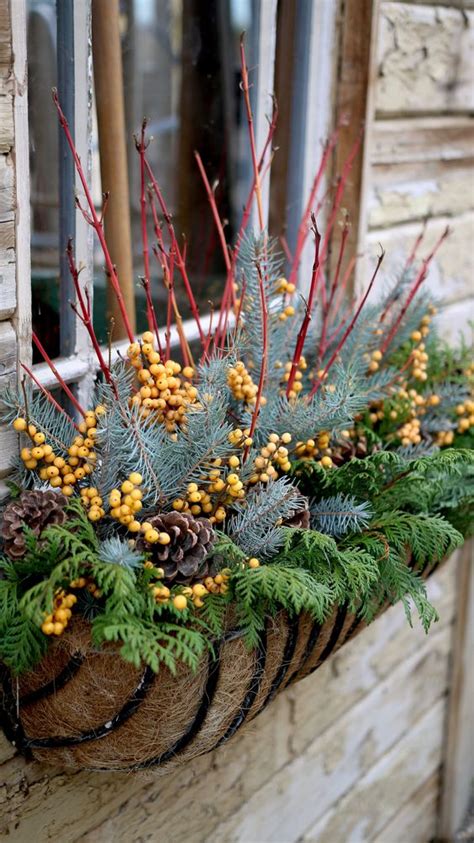 17 Winter Container Garden Ideas For 2023 A Nest With A Yard