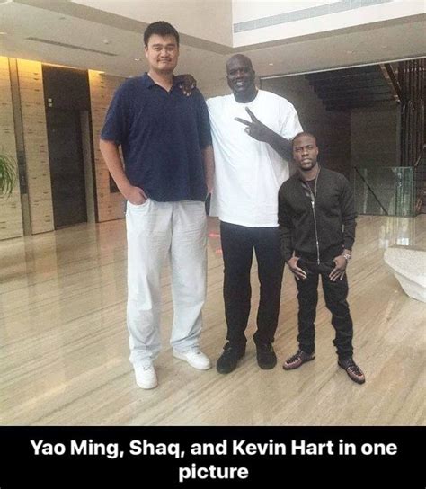 Yao Ming Shaquille Oneal And Kevin Hart