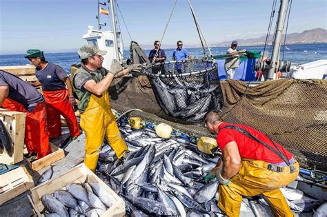 Diputados Aprueban La Idea De Legislar Para Modificar La Ley De Pesca