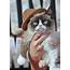 Grumpy Cat Owner Awarded Over $700000 In Coffee Lawsuit