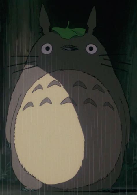 Totoro Ghibli Wiki Fandom