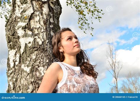 Girl Of About Birch Royalty Free Stock Photo Image 28660145