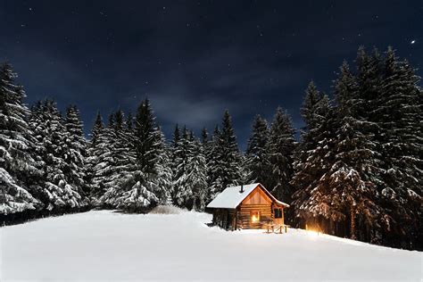 Wallpaper Night Snow Winter Stars Spruce Cabin Pine Trees Fir