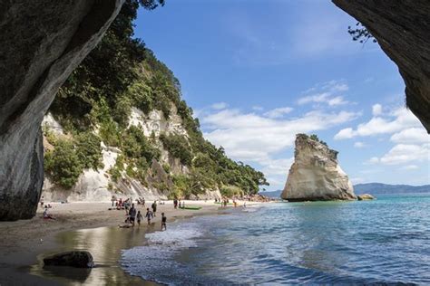 Cathedral Cove Walk Hahei Updated 2020 All You Need To Know Before