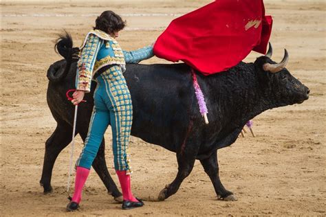 Bullfighting Returns To Colombia’s Capital Amid Controversy Anadolu Agency