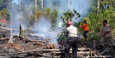 Masyarakat harus sadar akan 3.3.2. Pemerintah Sigap Atasi Kebakaran Hutan - Pemerintah Kota Ambon