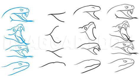 How To Draw A Snake Head Draw Snake Heads Step By Step Drawing Guide