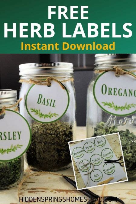 Free Printable Herb Labels Instant Access Herb Labels Herb