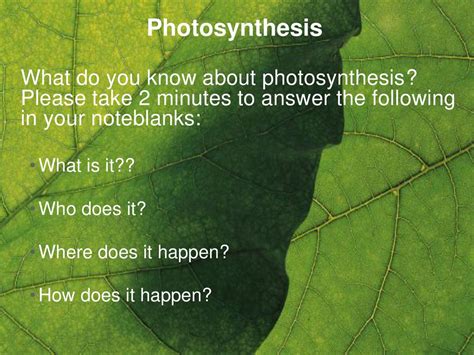 photosynthesis what do you know about photosynthesis please take 2 minutes to answer the