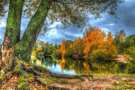 Trees On Autumn Lake
