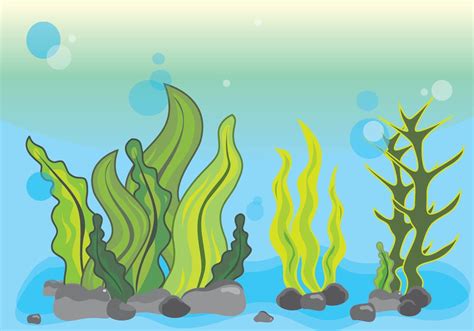 Seaweed Illustration Scene Underwater 160263 Vector Art At Vecteezy