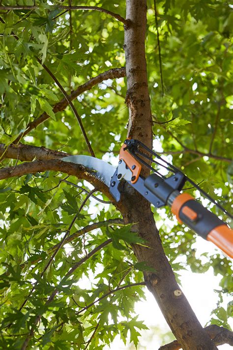 Tree removal costs approximately $95/hr. Tree Removal - How Much Does It Cost To Remove Small To ...