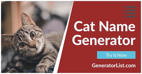 Cat Name Generator Generators List