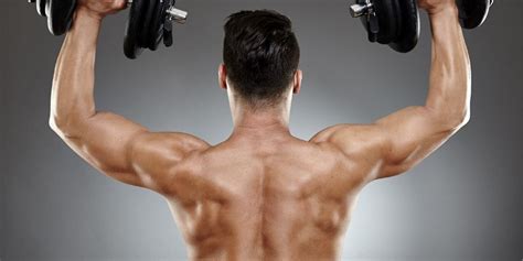 Dumbbell Back Exercises Improve Your Posture And Get Ripped