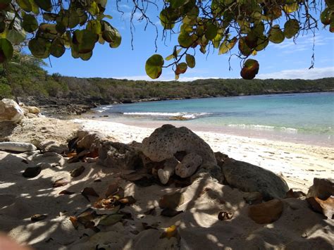 Pointe Tarare Plage Naturiste Beach La Baie Sainte Marie Guadeloupe
