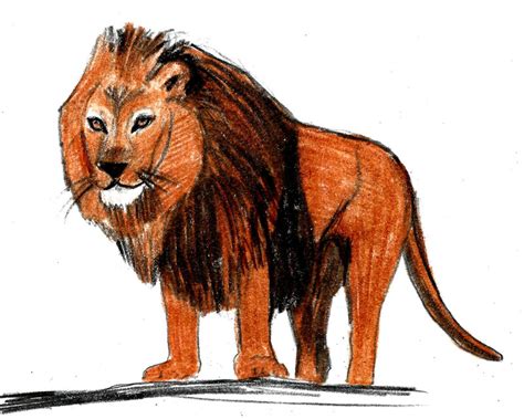 Come Disegnare Un Leone Con Immagini Wikihow