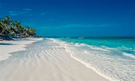 Both zanzibar and pemba are believed to have once formed part of the african continent, the separation of pemba having occurred during the miocene epoch (about 23 to 5.3 million years ago) while zanzibar dates from the pliocene epoch (about 5.3 to 2.6 million years ago) or even later. Lelepleztük, hogyan lehet Zanzibárra utazni milliók nélkül!