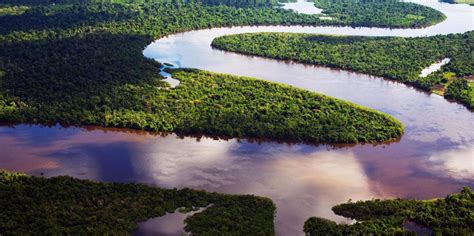 El Río Amazonas ó Nilo ¿cuál Es él Más Largo Del Mundo Cultura En