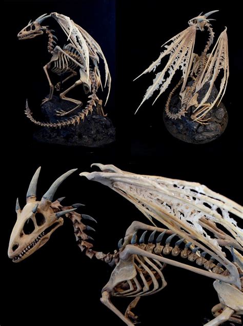 Dragon Skeleton Skeleton Art Dragon Bones Dragon Art Animal