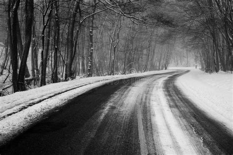Forrest Road Winding In Winter Stock Image Image Of December Colors